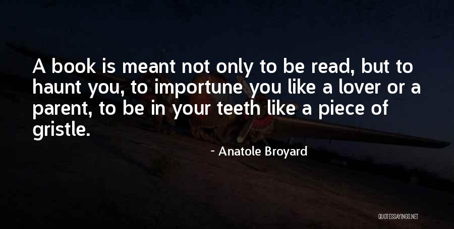 Tsujitani Kouji Quotes By Anatole Broyard Tsujitani Kouji Quotes By Anatole Broyard