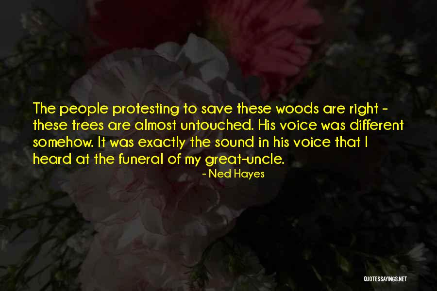 Tsukamoto Tsukushi Quotes By Ned Hayes Tsukamoto Tsukushi Quotes By Ned Hayes