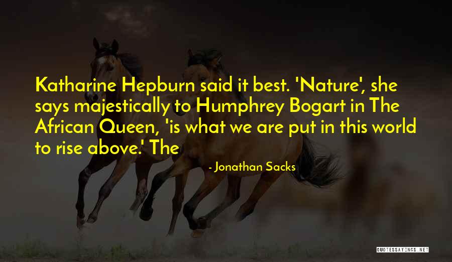 Tsukimiya Ringo Quotes By Jonathan Sacks Tsukimiya Ringo Quotes By Jonathan Sacks