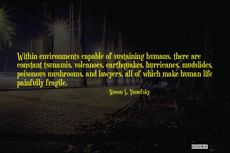 Tsunamis Quotes By Noson S. Yanofsky Tsunamis Quotes By Noson S. Yanofsky