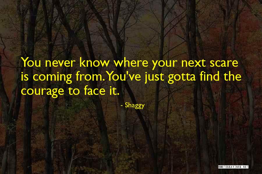 Tsunehisa Namimatsu Quotes By Shaggy Tsunehisa Namimatsu Quotes By Shaggy