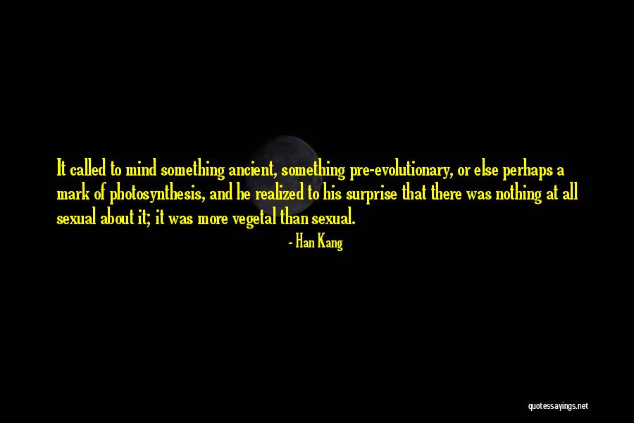 Tsymbalist Quotes By Han Kang Tsymbalist Quotes By Han Kang