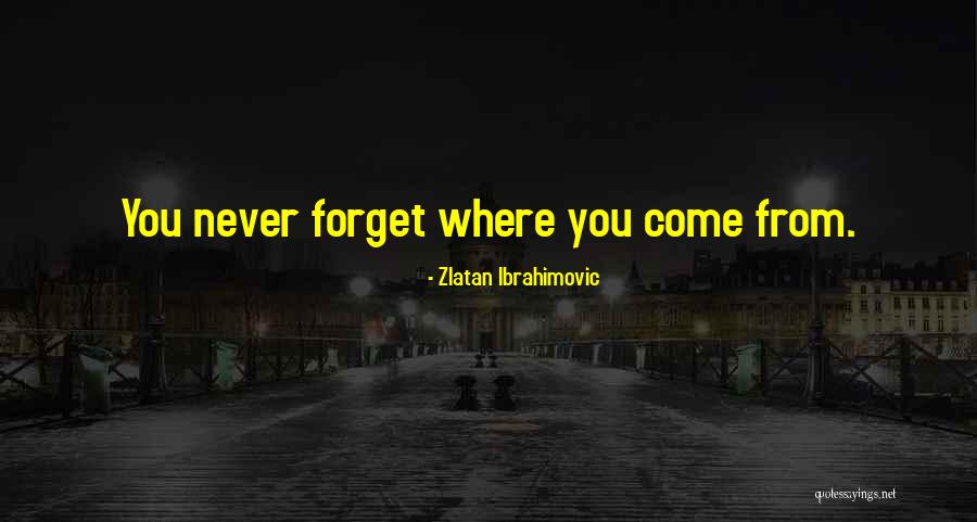 Ttad Pools Quotes By Zlatan Ibrahimovic Ttad Pools Quotes By Zlatan Ibrahimovic