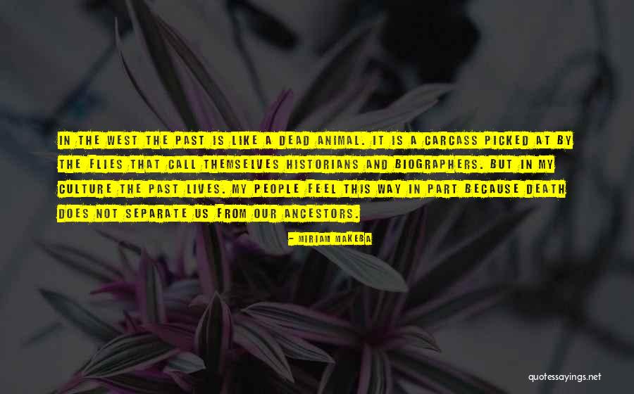 Ttg Blood Quotes By Miriam Makeba Ttg Blood Quotes By Miriam Makeba