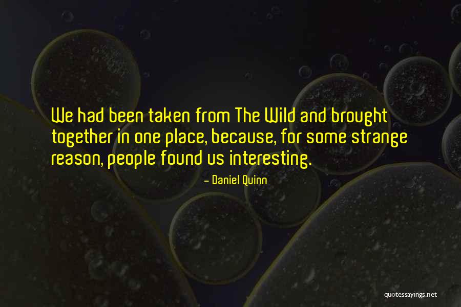 Tuataras Constellation Quotes By Daniel Quinn Tuataras Constellation Quotes By Daniel Quinn
