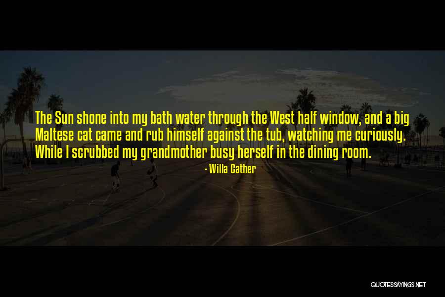 Tub Quotes By Willa Cather Tub Quotes By Willa Cather