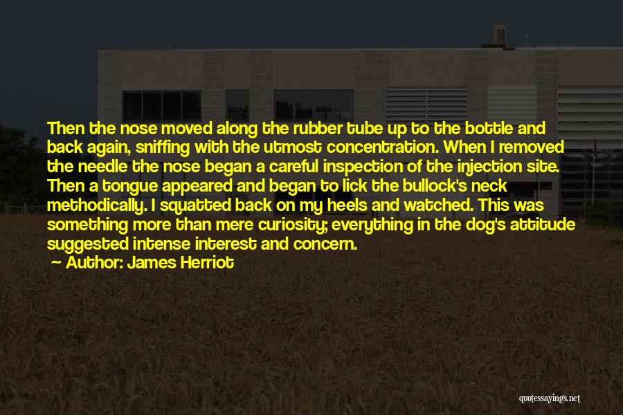 Tube Well Quotes By James Herriot Tube Well Quotes By James Herriot
