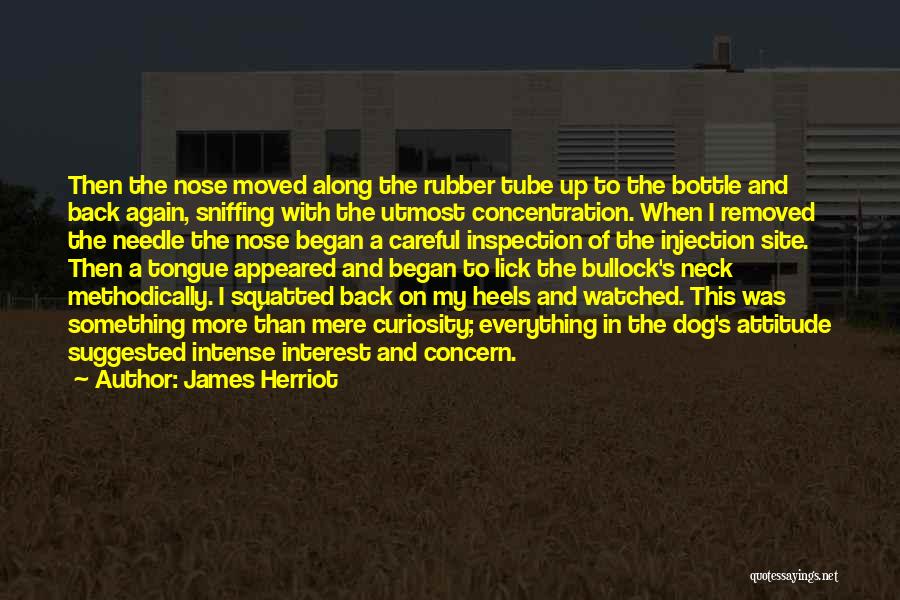 Tube Well Quotes By James Herriot