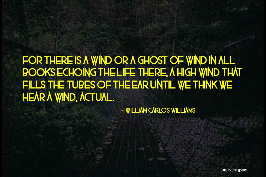 Tubes In Ear Quotes By William Carlos Williams Tubes In Ear Quotes By William Carlos Williams