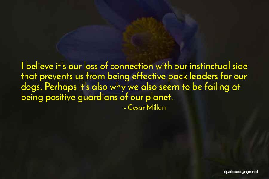 Tuelberodin Quotes By Cesar Millan Tuelberodin Quotes By Cesar Millan