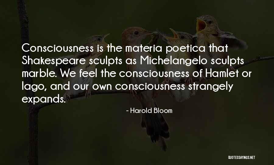 Tuercas Quotes By Harold Bloom Tuercas Quotes By Harold Bloom