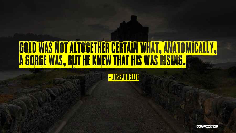 Tuesday Morning Hello Quotes By Joseph Heller Tuesday Morning Hello Quotes By Joseph Heller