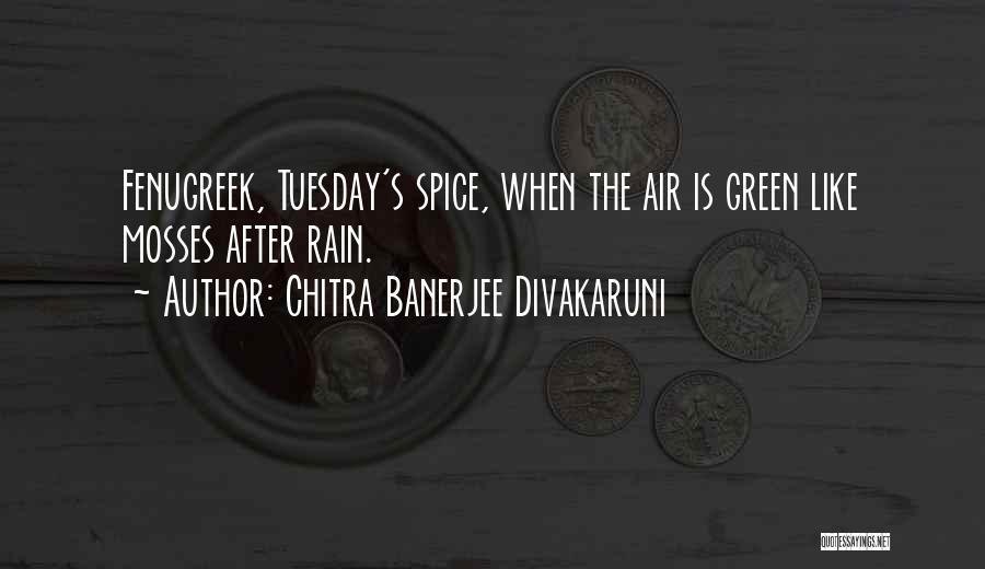 Tuesday Quotes By Chitra Banerjee Divakaruni