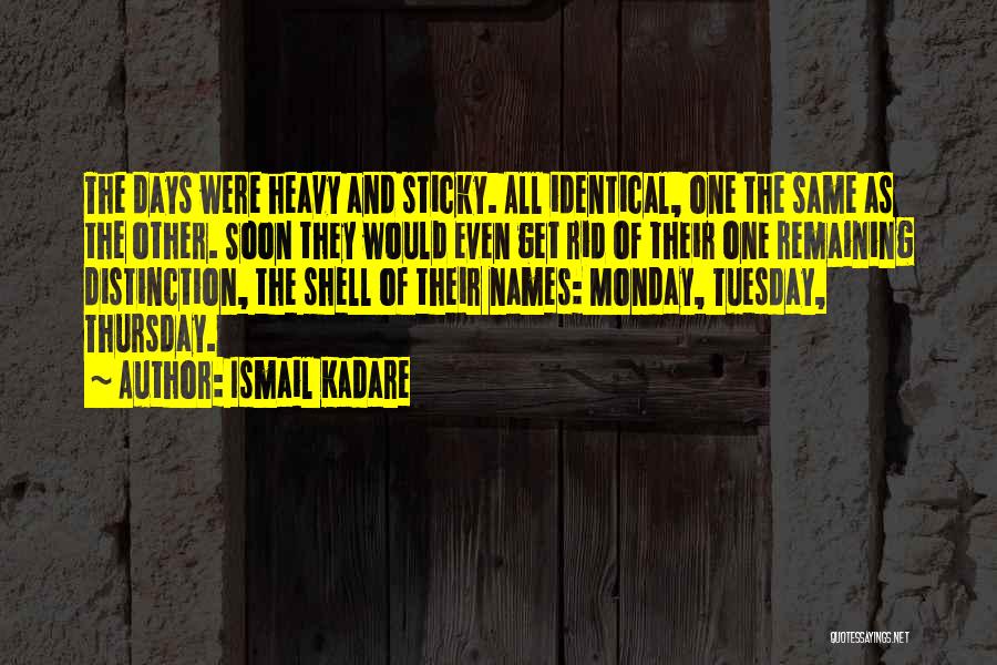 Tuesday Quotes By Ismail Kadare