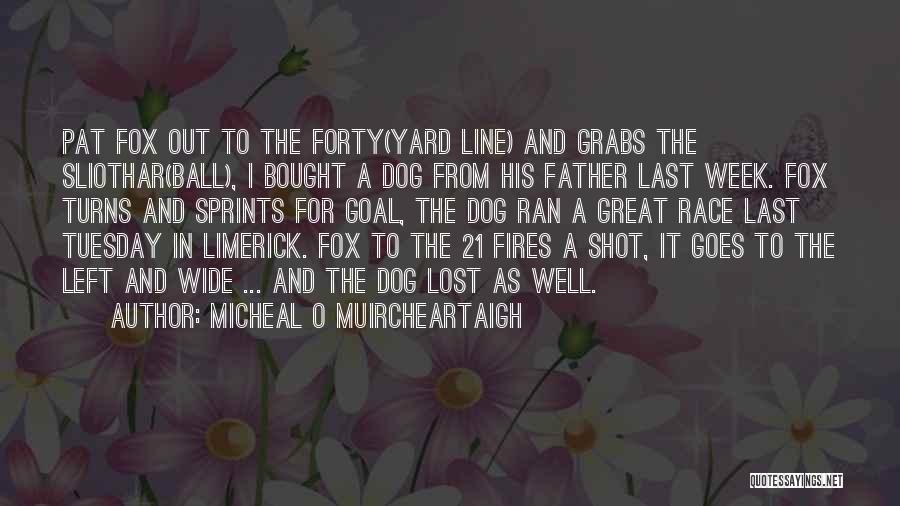 Tuesday Quotes By Micheal O Muircheartaigh