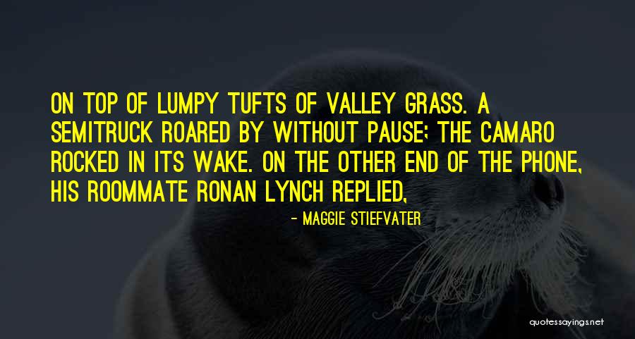 Tufts Quotes By Maggie Stiefvater Tufts Quotes By Maggie Stiefvater