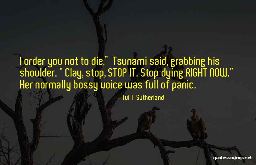 Tui T. Sutherland Quotes 1246917