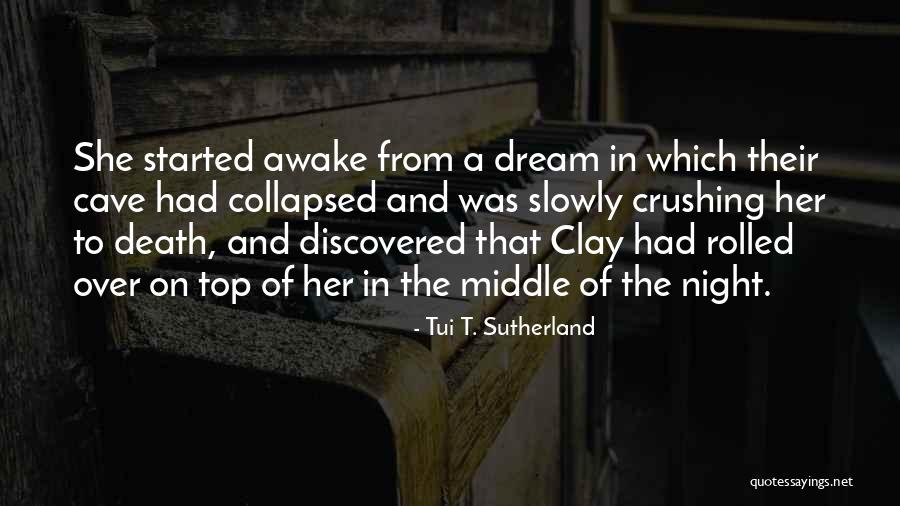 Tui T. Sutherland Quotes 758356