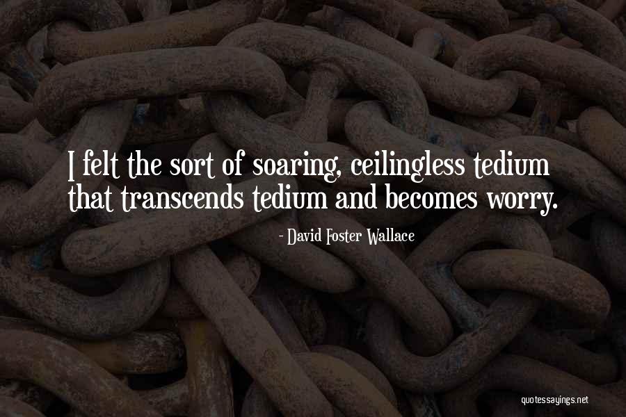 Tujko Bana Quotes By David Foster Wallace Tujko Bana Quotes By David Foster Wallace