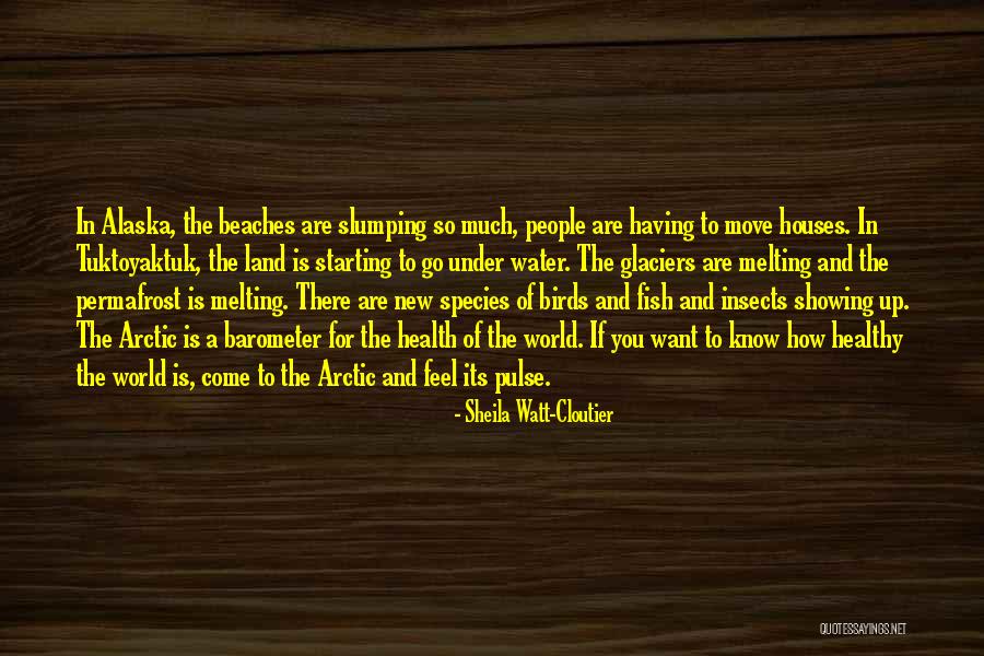Tuktoyaktuk Permafrost Quotes By Sheila Watt-Cloutier Tuktoyaktuk Permafrost Quotes By Sheila Watt-Cloutier
