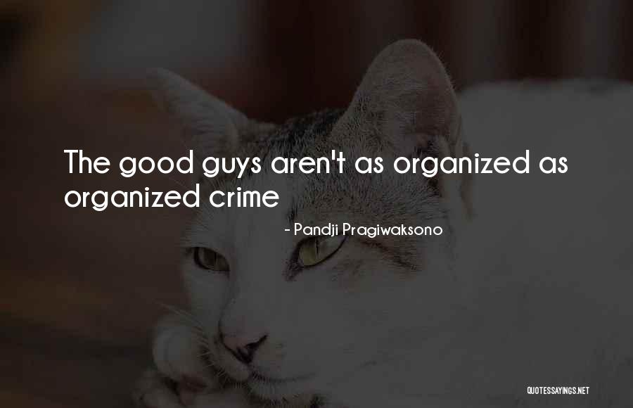 Tulipa Sylvestris Quotes By Pandji Pragiwaksono Tulipa Sylvestris Quotes By Pandji Pragiwaksono
