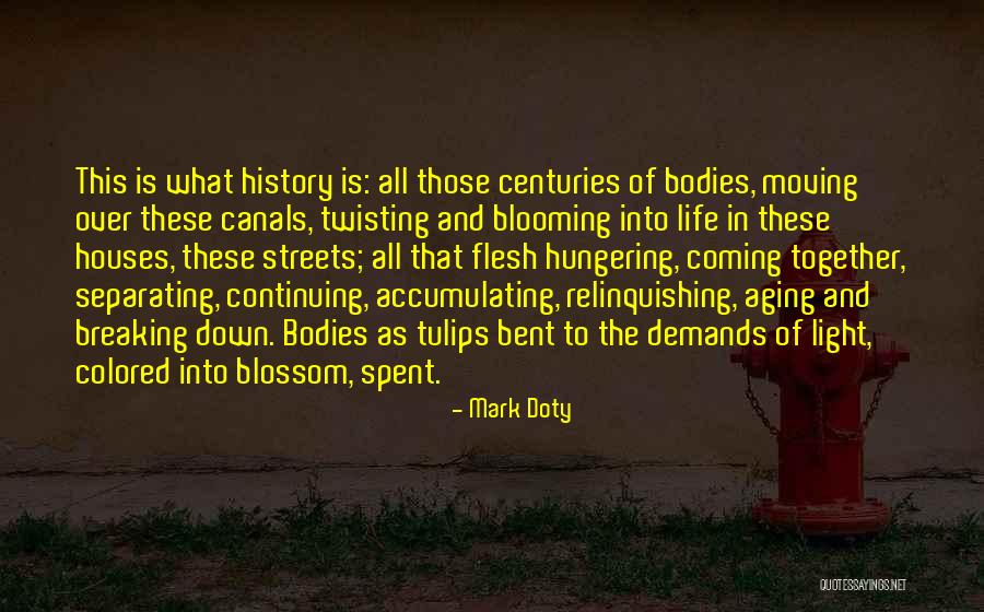 Tulips And Life Quotes By Mark Doty Tulips And Life Quotes By Mark Doty