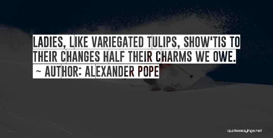 Tulips Quotes By Alexander Pope