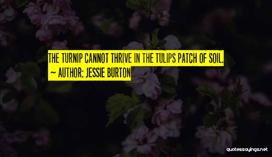 Tulips Quotes By Jessie Burton