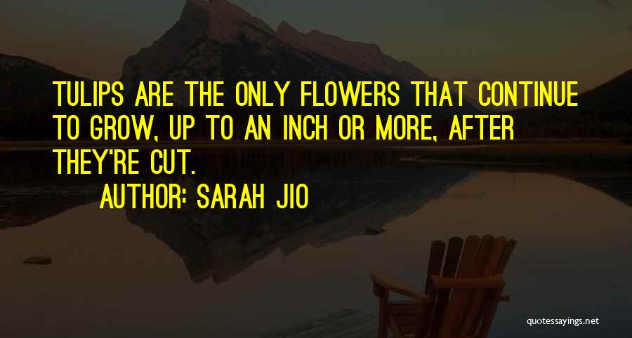 Tulips Quotes By Sarah Jio