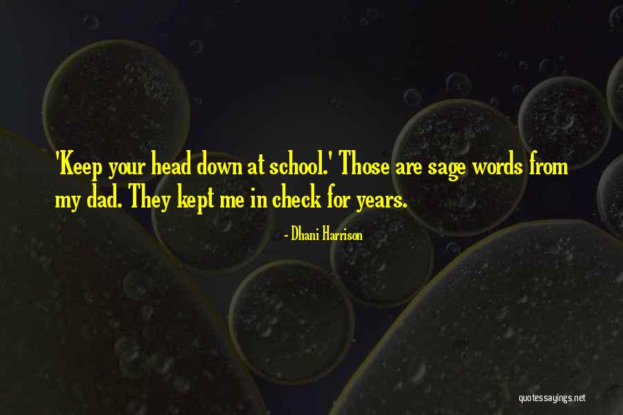 Tulitapepsi Quotes By Dhani Harrison Tulitapepsi Quotes By Dhani Harrison