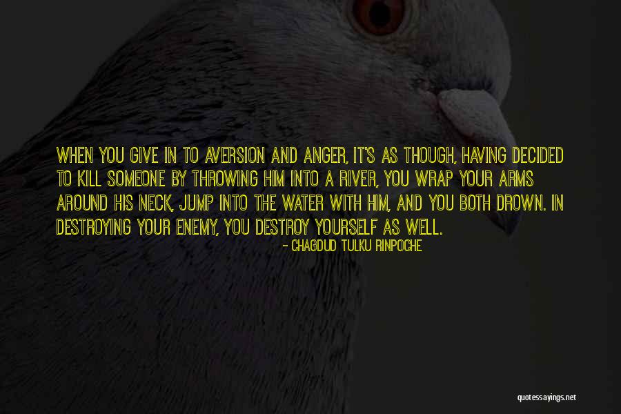 Tulku Rinpoche Quotes By Chagdud Tulku Rinpoche Tulku Rinpoche Quotes By Chagdud Tulku Rinpoche