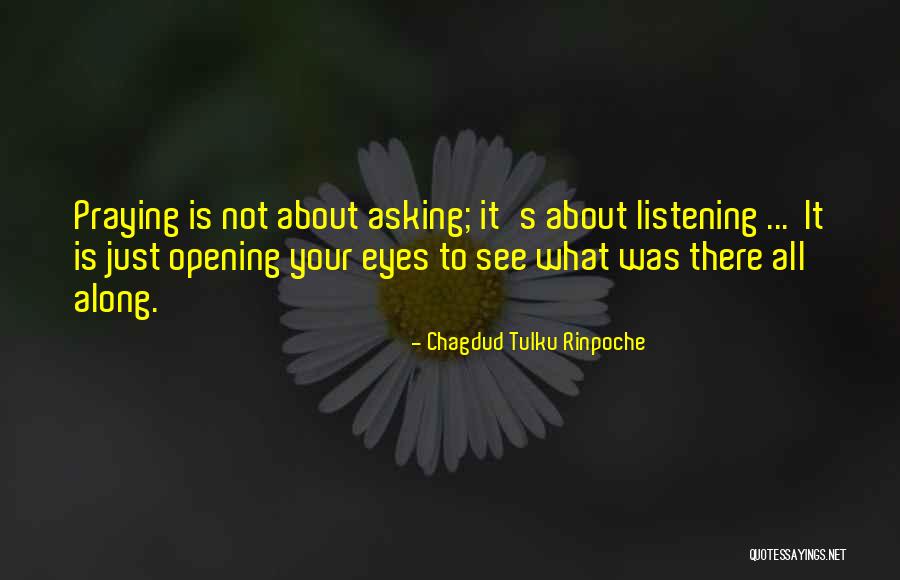 Tulku Rinpoche Quotes By Chagdud Tulku Rinpoche Tulku Rinpoche Quotes By Chagdud Tulku Rinpoche