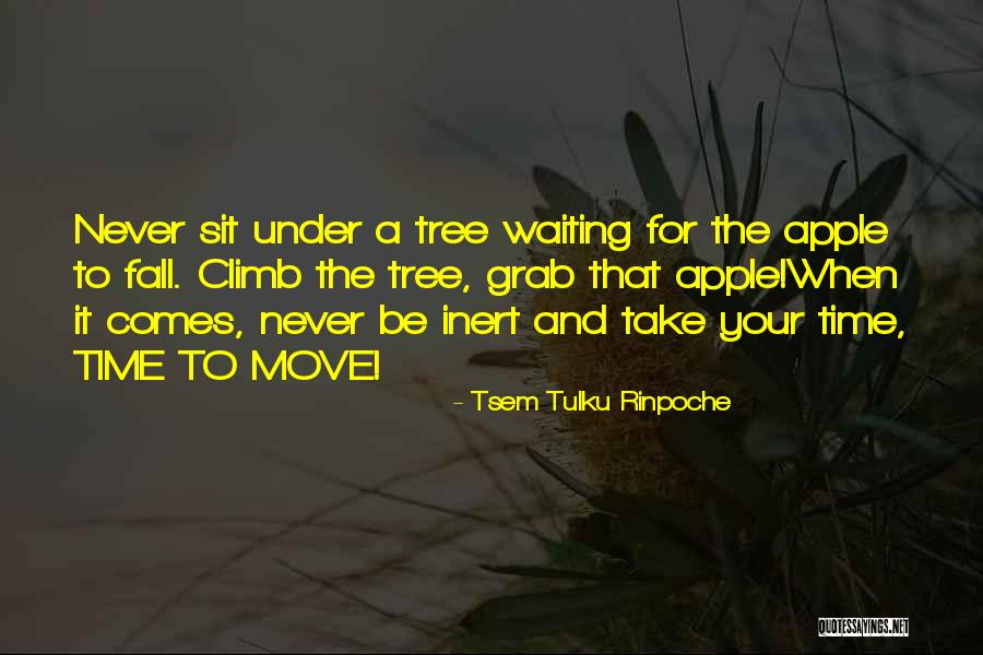 Tulku Rinpoche Quotes By Tsem Tulku Rinpoche Tulku Rinpoche Quotes By Tsem Tulku Rinpoche