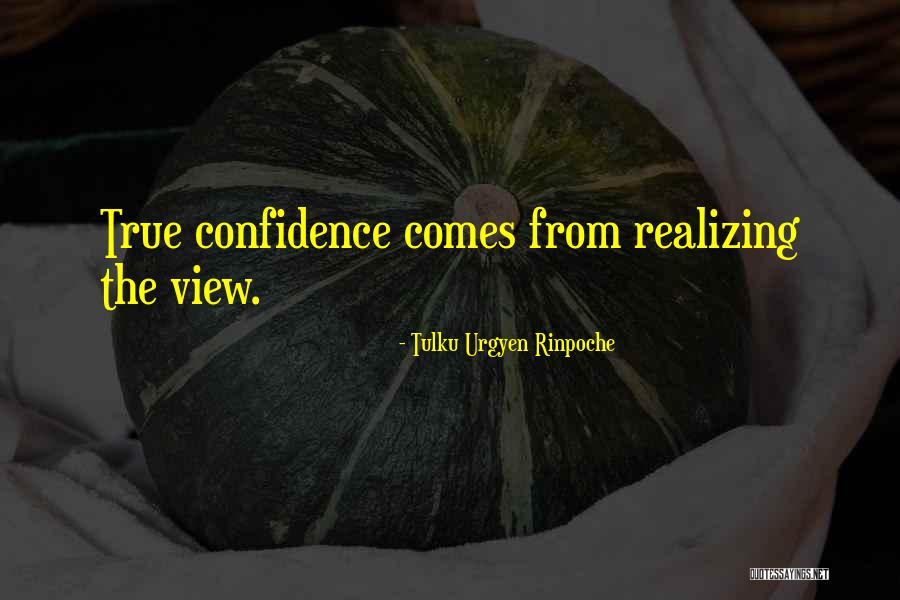 Tulku Rinpoche Quotes By Tulku Urgyen Rinpoche Tulku Rinpoche Quotes By Tulku Urgyen Rinpoche