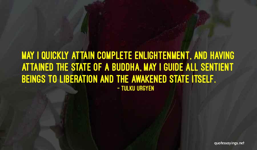 Tulku Urgyen Quotes 1394035