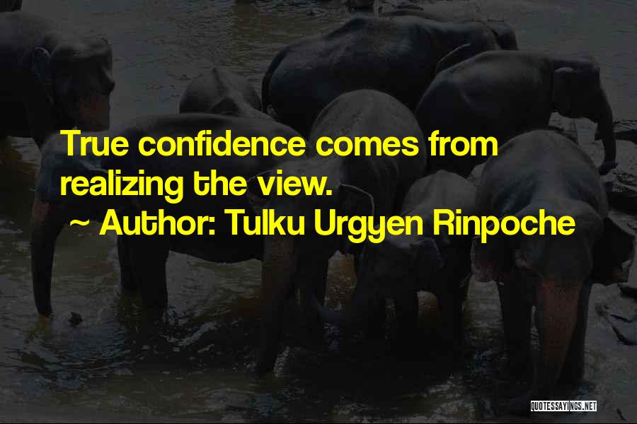 Tulku Urgyen Rinpoche Quotes 500634