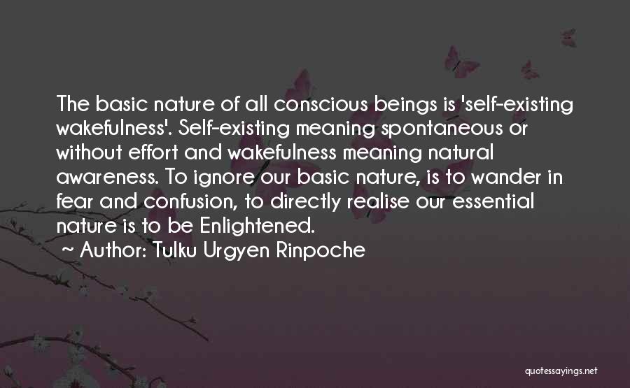 Tulku Urgyen Rinpoche Quotes 995551