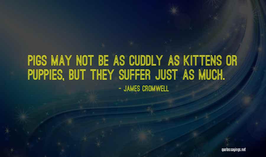 Tulley Quotes By James Cromwell Tulley Quotes By James Cromwell