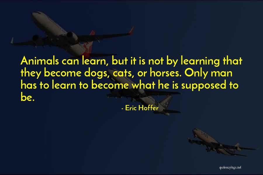 Tummillo Doris Quotes By Eric Hoffer Tummillo Doris Quotes By Eric Hoffer