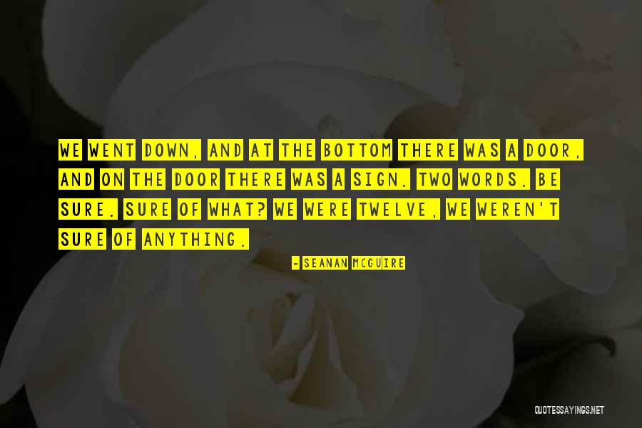 Tumores Renales Quotes By Seanan McGuire Tumores Renales Quotes By Seanan McGuire