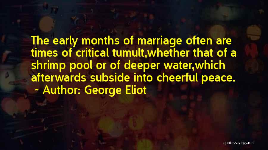 Tumult Quotes By George Eliot