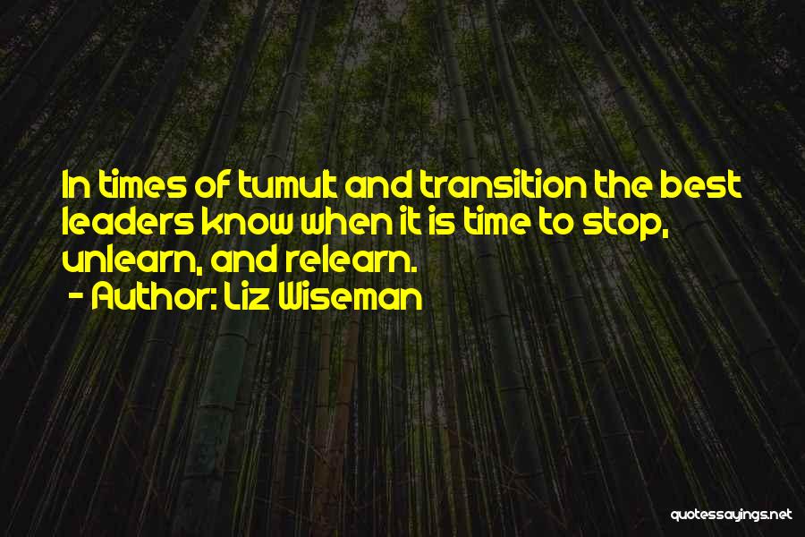Tumult Quotes By Liz Wiseman