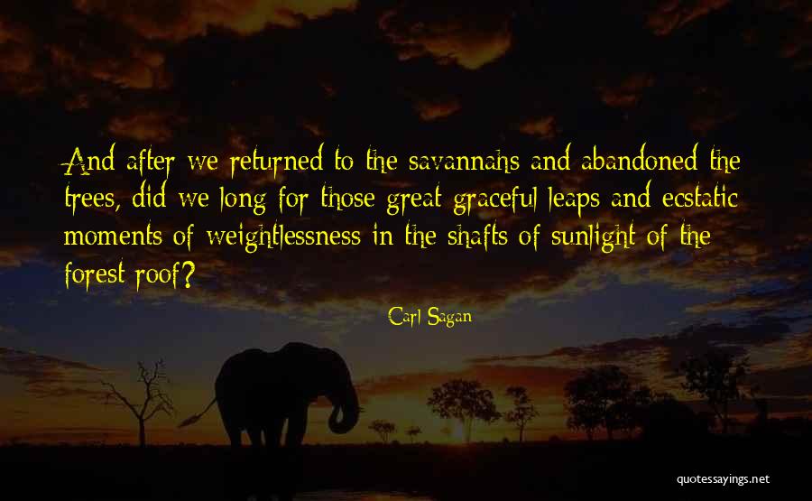 Tumulto Significado Quotes By Carl Sagan Tumulto Significado Quotes By Carl Sagan