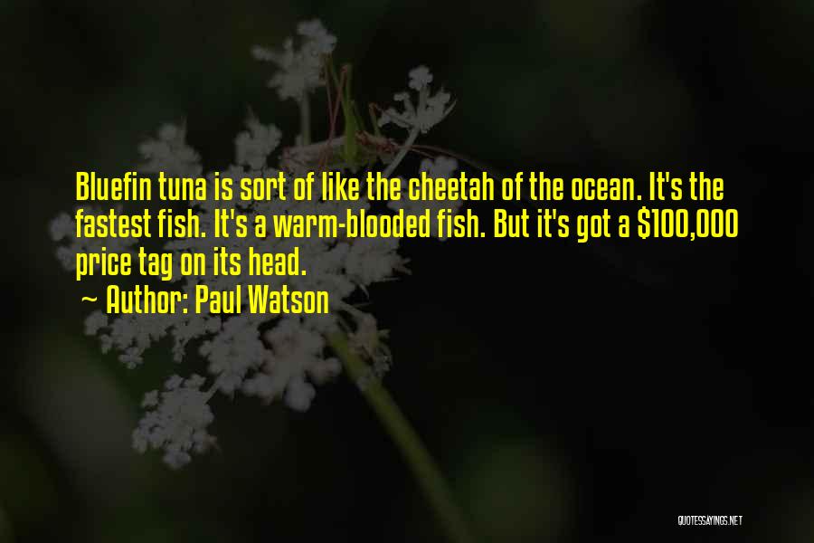 Tuna Fish Quotes By Paul Watson