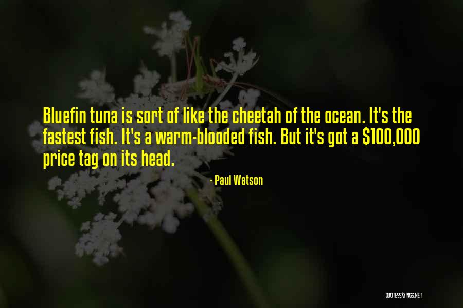 Tuna Fish Quotes By Paul Watson