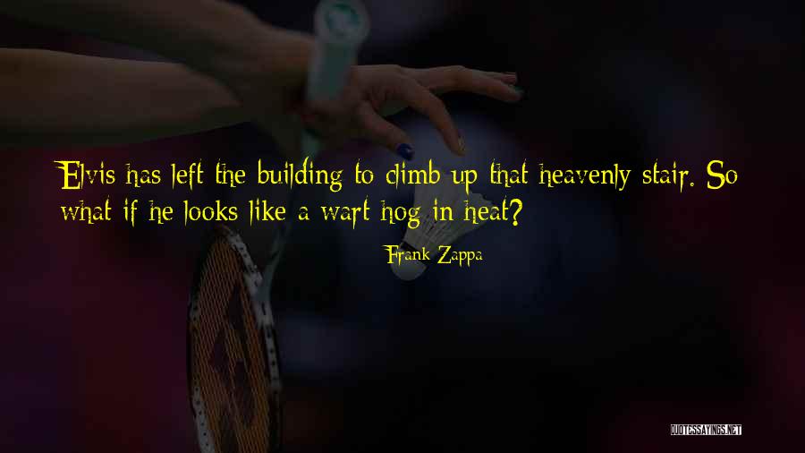 Tund Quotes By Frank Zappa Tund Quotes By Frank Zappa