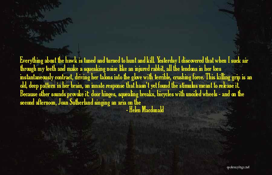 Tuned Quotes By Helen Macdonald Tuned Quotes By Helen Macdonald