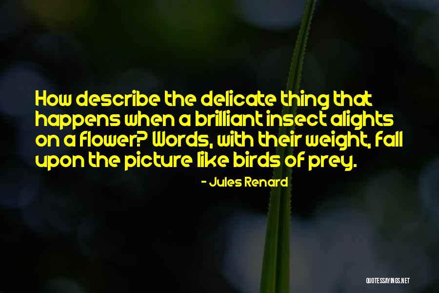 Tuneless Harp Quotes By Jules Renard Tuneless Harp Quotes By Jules Renard