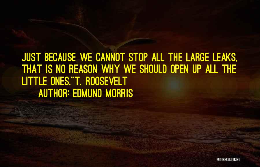 Tunellite Quotes By Edmund Morris