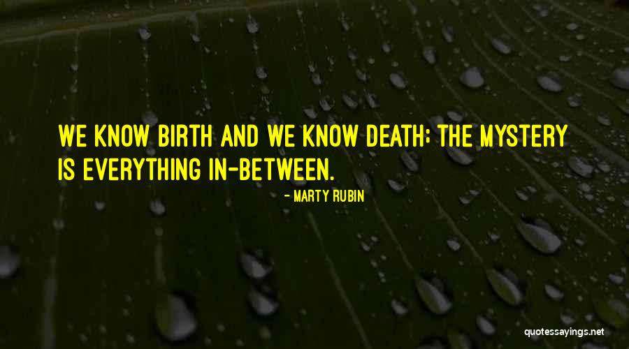 Tungkai Serangga Quotes By Marty Rubin